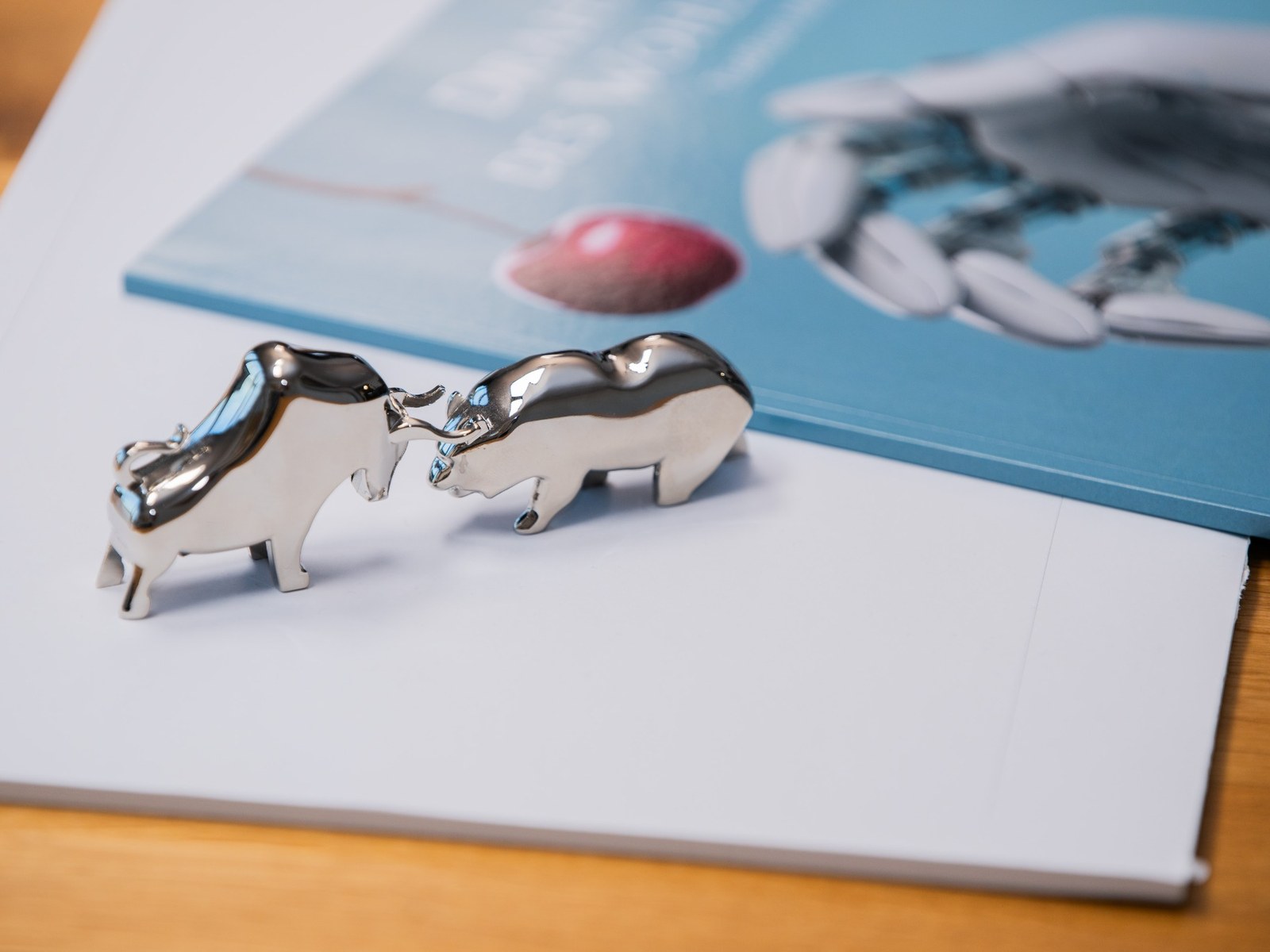 Bullen- und Bärenfigur als Symbol für Kapitalanlage nach dem Unternehmensverkauf